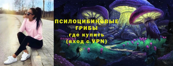 а пвп мука Карпинск