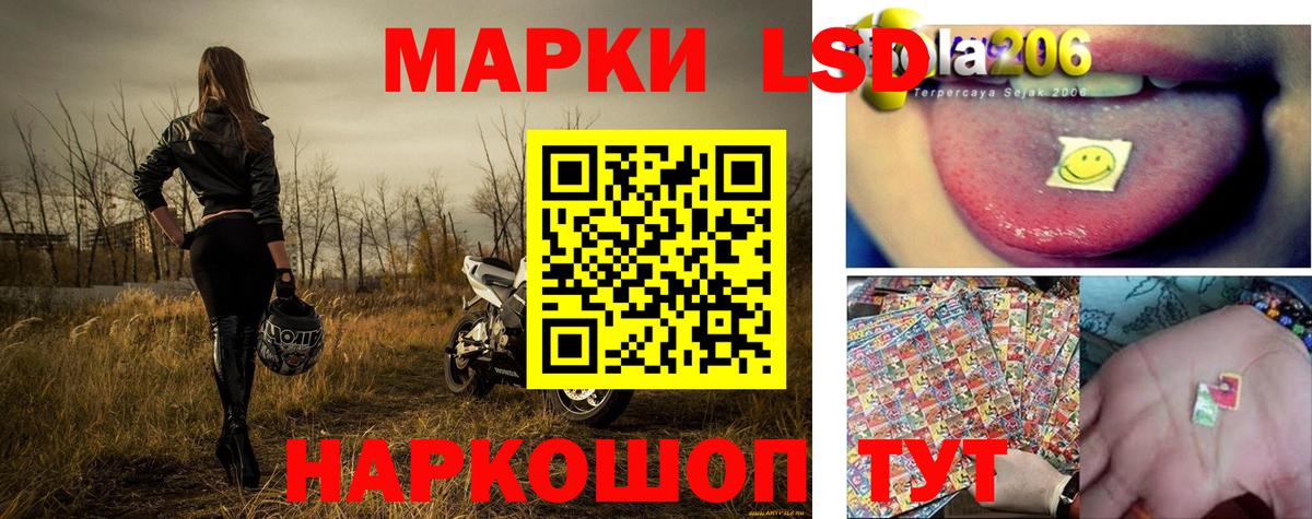 Сокол  Марки NBOMe 1,5мг  Вход с VPN 