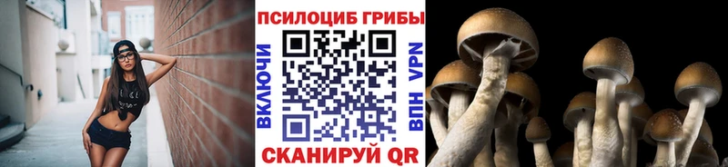 Галлюциногенные грибы GOLDEN TEACHER  hydra ссылки  Сокол  что такое наркотик 