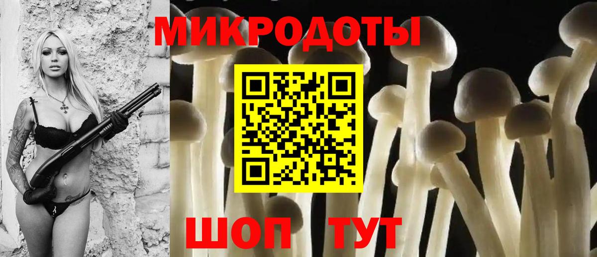 Псилоцибиновые грибы Magic Shrooms Сокол